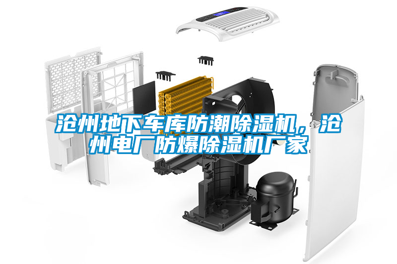 滄州地下車庫防潮除濕機(jī)，滄州電廠防爆除濕機(jī)廠家