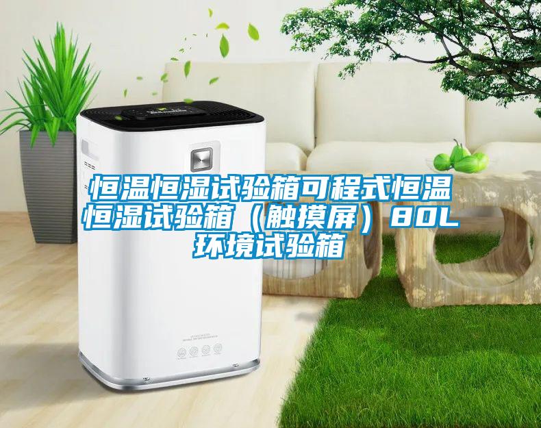 恒溫恒濕試驗(yàn)箱可程式恒溫恒濕試驗(yàn)箱（觸摸屏）80L環(huán)境試驗(yàn)箱