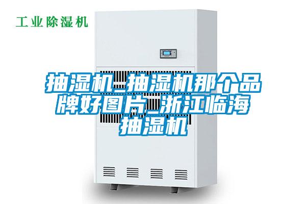 抽濕機_抽濕機那個品牌好圖片_浙江臨海抽濕機