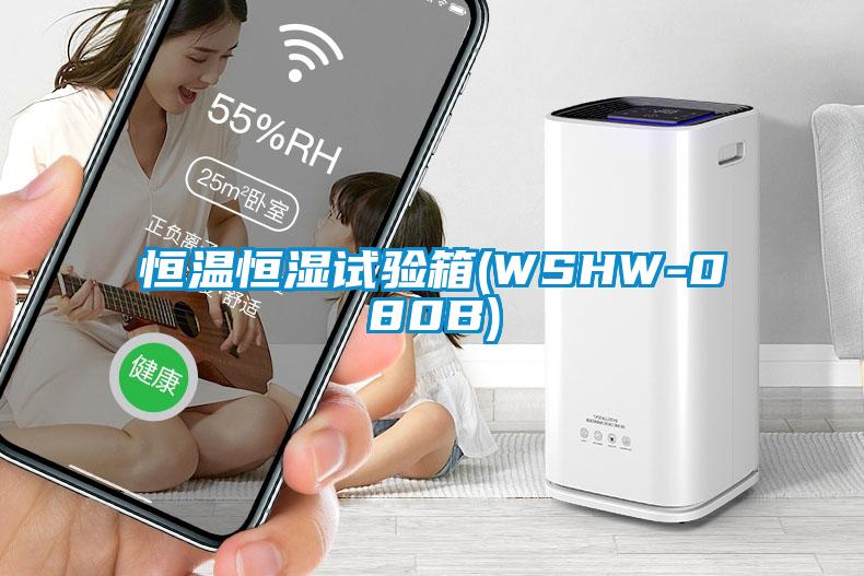 恒溫恒濕試驗(yàn)箱(WSHW-080B)