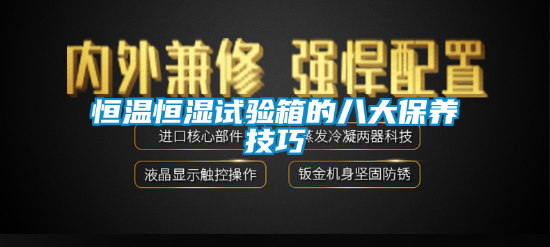 恒溫恒濕試驗箱的八大保養(yǎng)技巧