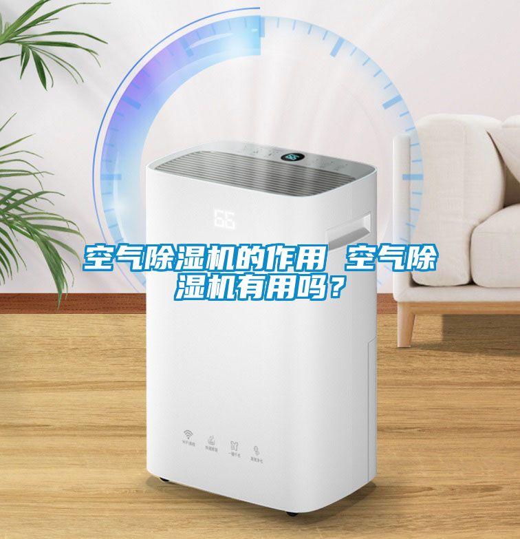 空氣除濕機的作用 空氣除濕機有用嗎？