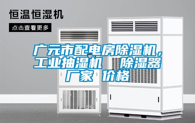 廣元市配電房除濕機(jī)，工業(yè)抽濕機(jī)  除濕器廠家 價(jià)格