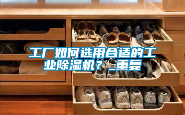 工廠如何選用合適的工業(yè)除濕機？_重復