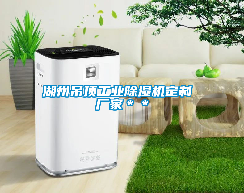 湖州吊頂工業(yè)除濕機(jī)定制 廠家＊＊