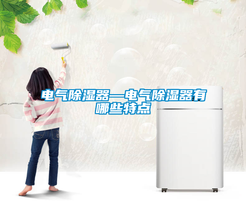 電氣除濕器—電氣除濕器有哪些特點(diǎn)