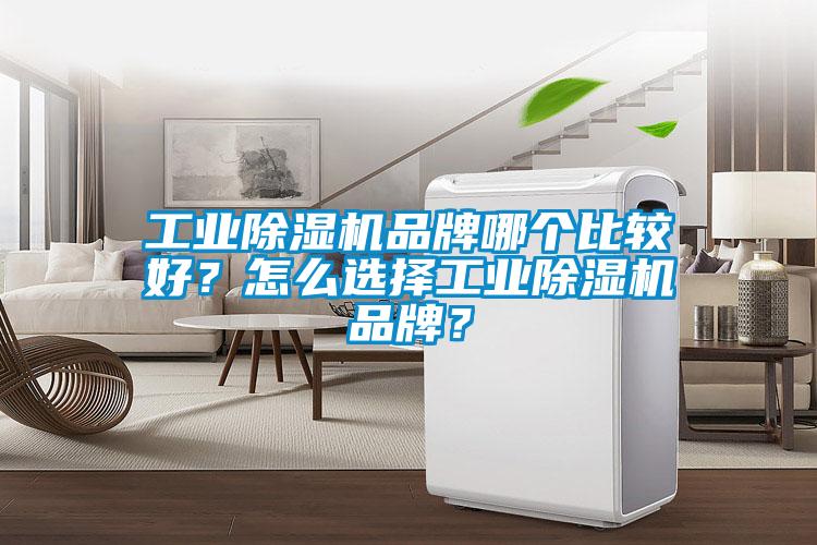 工業(yè)除濕機品牌哪個比較好？怎么選擇工業(yè)除濕機品牌？