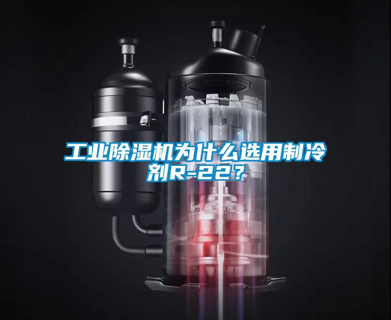 工業(yè)除濕機為什么選用制冷劑R-22？