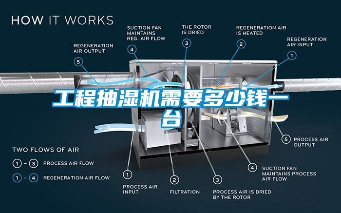 工程抽濕機(jī)需要多少錢(qián)一臺(tái)