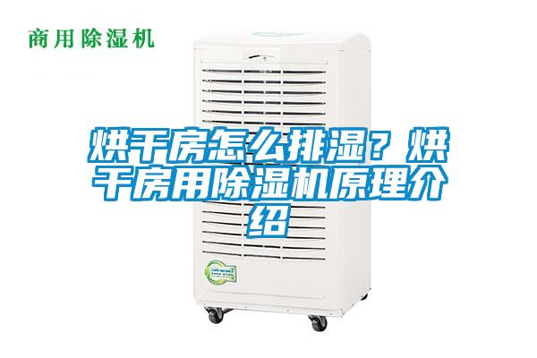 烘干房怎么排濕？烘干房用除濕機原理介紹