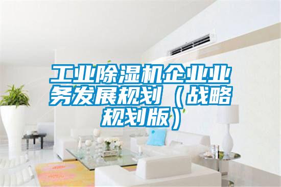 工業(yè)除濕機企業(yè)業(yè)務發(fā)展規(guī)劃（戰(zhàn)略規(guī)劃版）