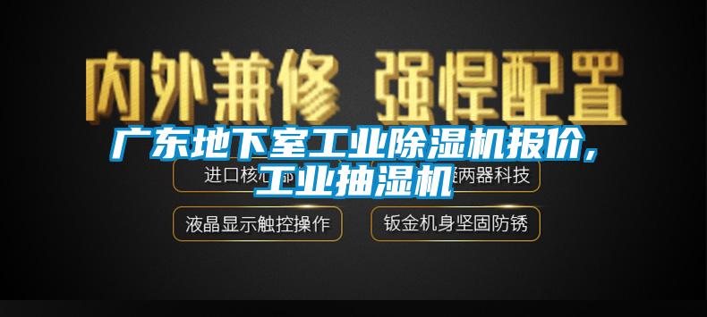 廣東地下室工業(yè)除濕機報價,工業(yè)抽濕機