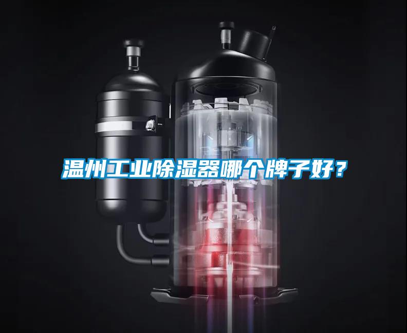 溫州工業(yè)除濕器哪個牌子好？