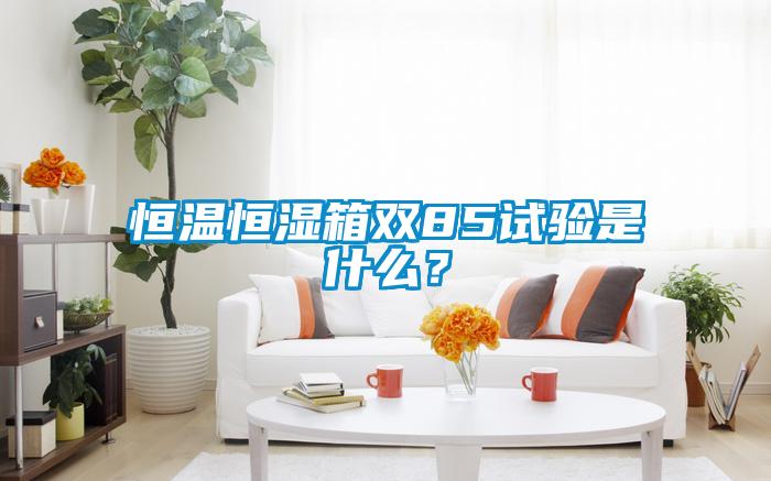 恒溫恒濕箱雙85試驗(yàn)是什么？