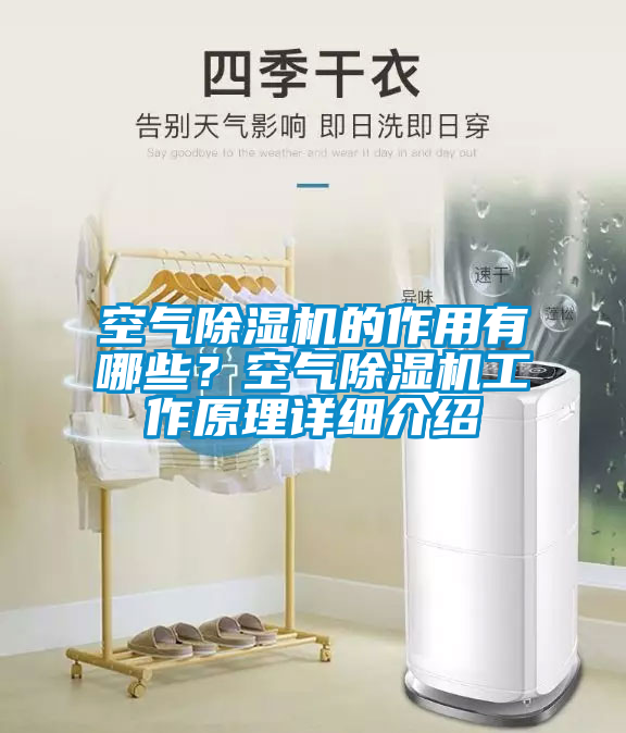 空氣除濕機的作用有哪些？空氣除濕機工作原理詳細介紹