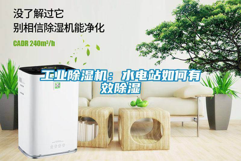 工業(yè)除濕機(jī)：水電站如何有效除濕