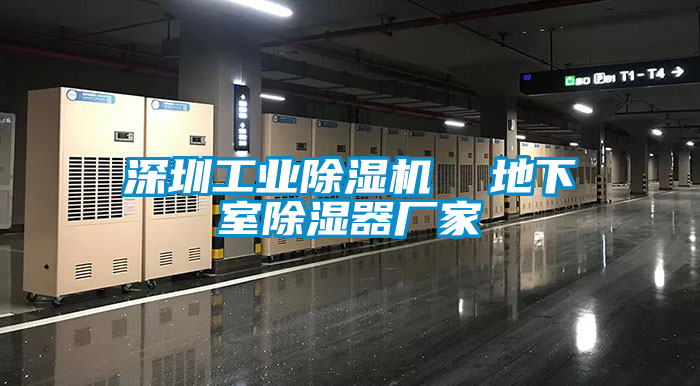 深圳工業(yè)除濕機(jī)  地下室除濕器廠家