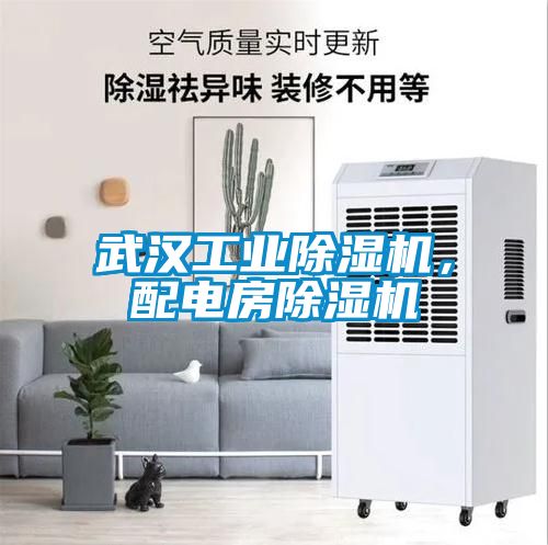 武漢工業(yè)除濕機，配電房除濕機