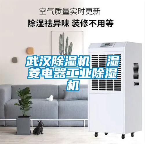 武漢除濕機  濕菱電器工業(yè)除濕機