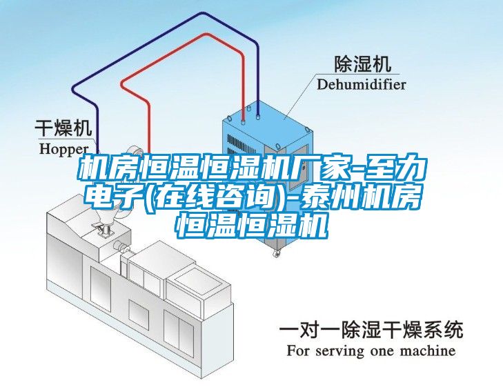 機房恒溫恒濕機廠家-至力電子(在線咨詢)-泰州機房恒溫恒濕機