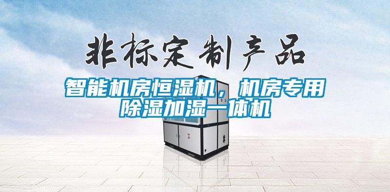 智能機(jī)房恒濕機(jī)，機(jī)房專用除濕加濕一體機(jī)