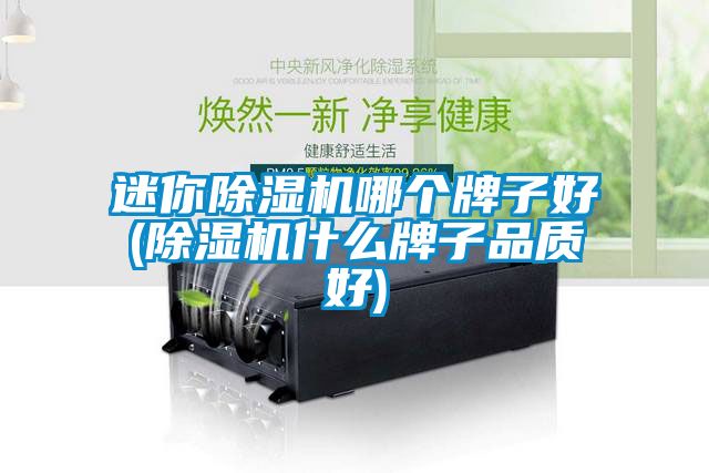 迷你除濕機哪個牌子好(除濕機什么牌子品質(zhì)好)