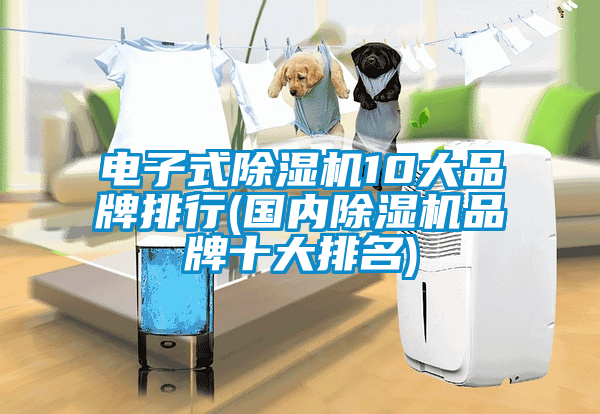 電子式除濕機(jī)10大品牌排行(國內(nèi)除濕機(jī)品牌十大排名)