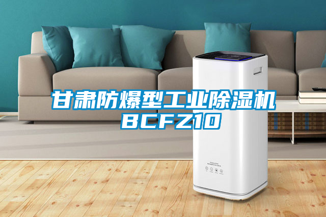 甘肅防爆型工業(yè)除濕機 BCFZ10