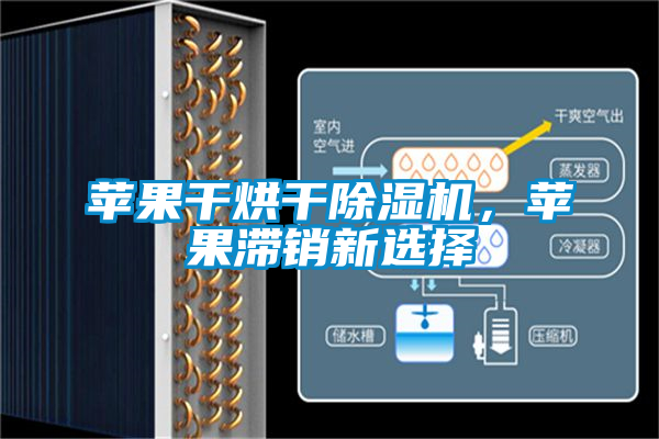 蘋(píng)果干烘干除濕機(jī)，蘋(píng)果滯銷(xiāo)新選擇