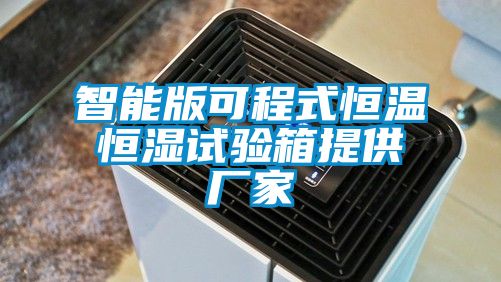 智能版可程式恒溫恒濕試驗(yàn)箱提供廠(chǎng)家