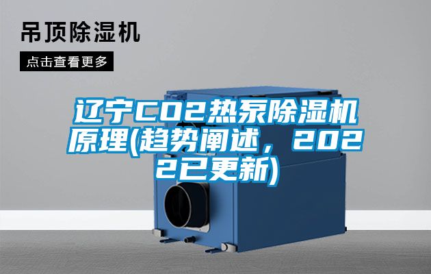 遼寧CO2熱泵除濕機(jī)原理(趨勢(shì)闡述，2022已更新)