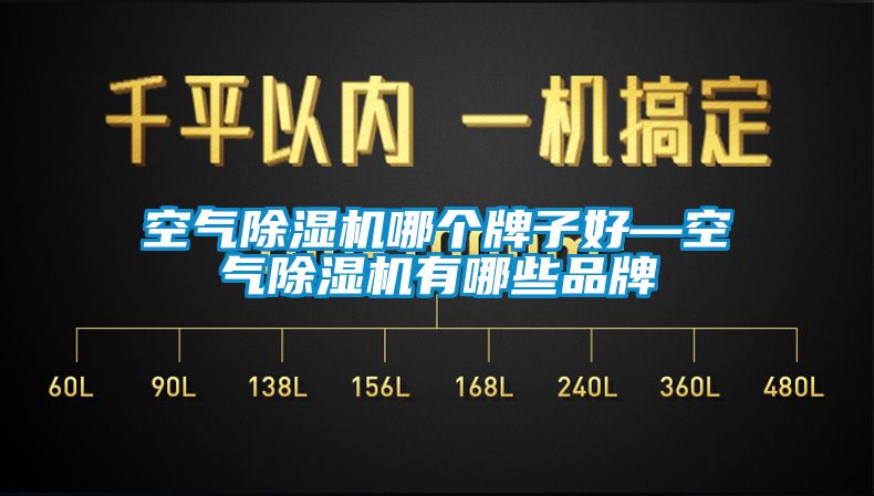 空氣除濕機(jī)哪個(gè)牌子好—空氣除濕機(jī)有哪些品牌