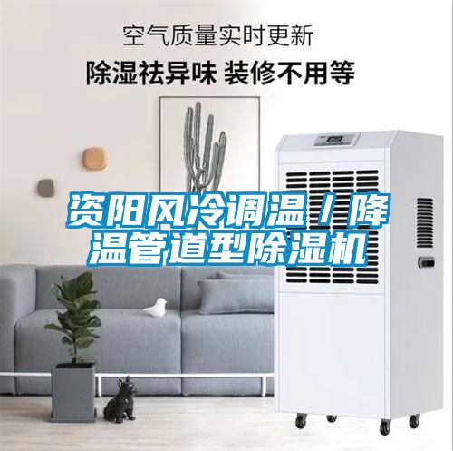 資陽風冷調(diào)溫／降溫管道型除濕機