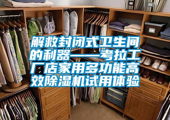 解救封閉式衛(wèi)生間的利器——考拉工廠店家用多功能高效除濕機(jī)試用體驗(yàn)