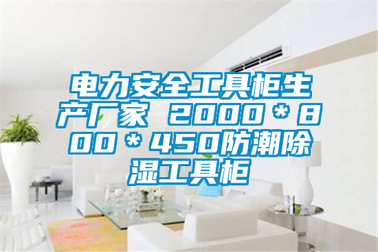 電力安全工具柜生產(chǎn)廠家 2000＊800＊450防潮除濕工具柜