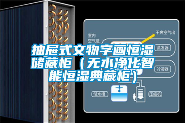 抽屜式文物字畫恒濕儲(chǔ)藏柜（無水凈化智能恒濕典藏柜）