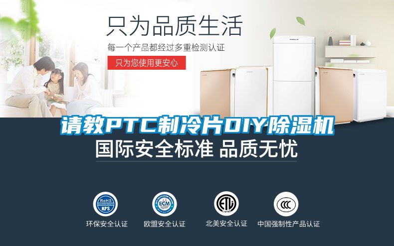 請教PTC制冷片DIY除濕機