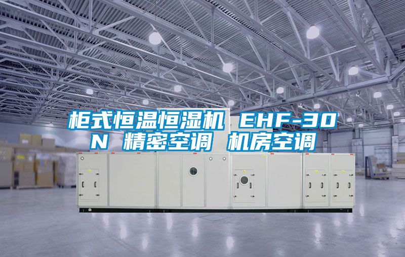 柜式恒溫恒濕機 EHF-30N 精密空調(diào) 機房空調(diào)