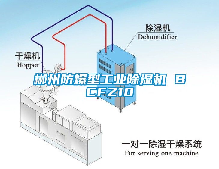 郴州防爆型工業(yè)除濕機 BCFZ10