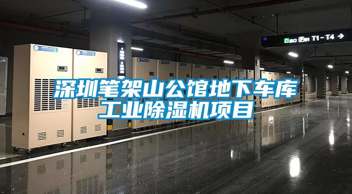 深圳筆架山公館地下車庫工業(yè)除濕機(jī)項(xiàng)目