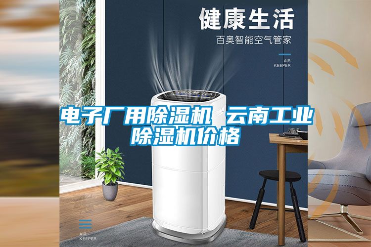 電子廠用除濕機(jī) 云南工業(yè)除濕機(jī)價(jià)格