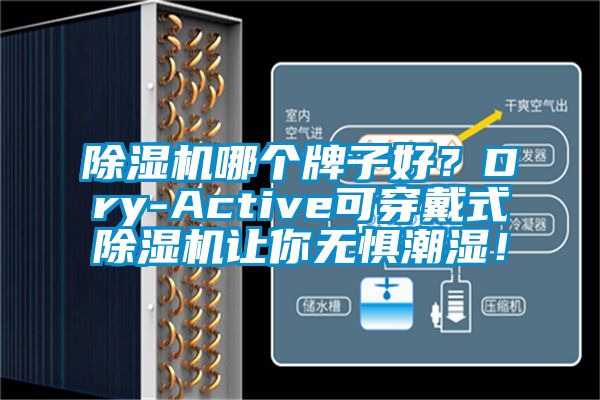 除濕機哪個牌子好？Dry-Active可穿戴式除濕機讓你無懼潮濕！