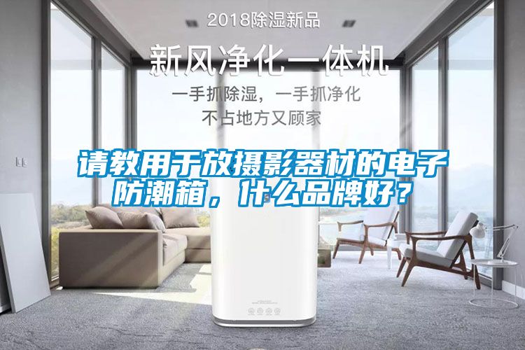 請教用于放攝影器材的電子防潮箱，什么品牌好？