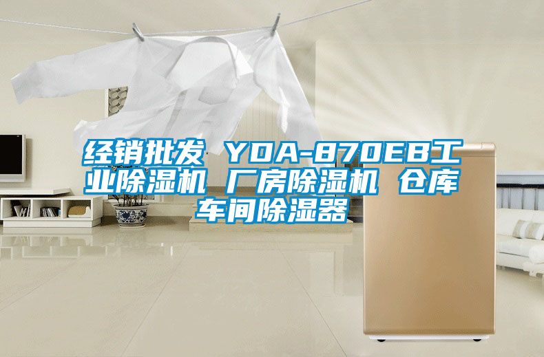 經(jīng)銷批發(fā) YDA-870EB工業(yè)除濕機 廠房除濕機 倉庫車間除濕器