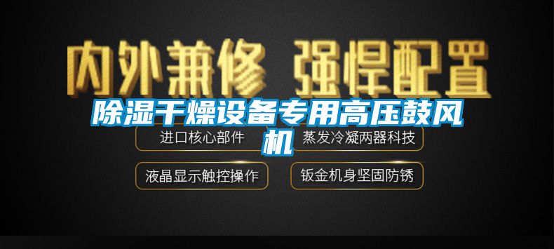 除濕干燥設備專用高壓鼓風機