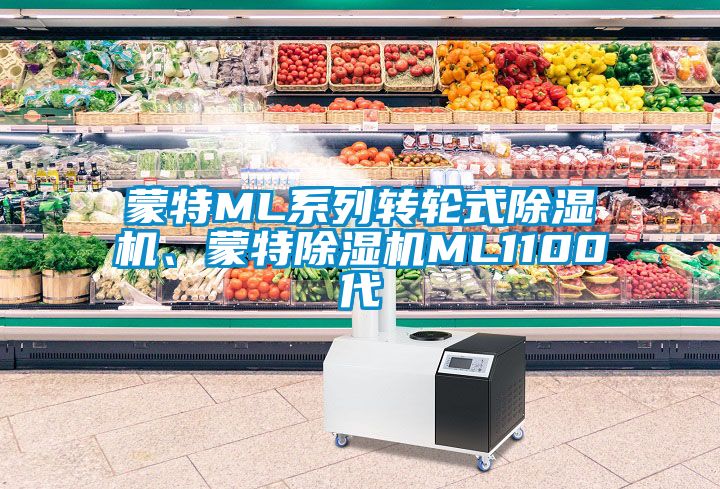 蒙特ML系列轉(zhuǎn)輪式除濕機(jī)、蒙特除濕機(jī)ML1100代