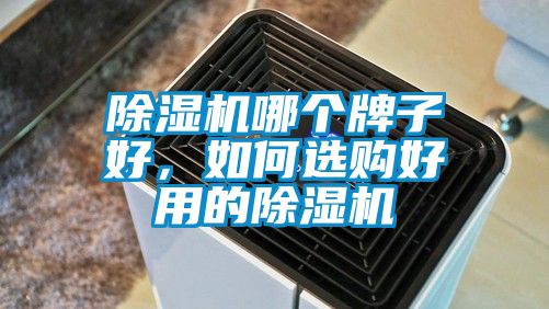 除濕機哪個牌子好，如何選購好用的除濕機