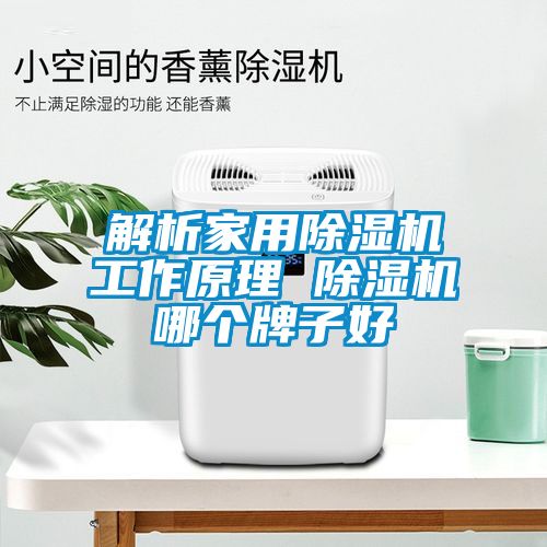 解析家用除濕機(jī)工作原理 除濕機(jī)哪個(gè)牌子好