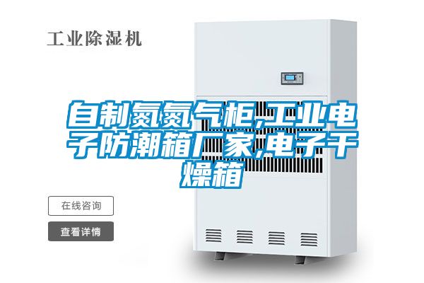 自制氮氮氣柜,工業(yè)電子防潮箱廠家,電子干燥箱