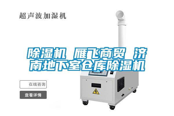 除濕機 雁飛商貿(mào) 濟南地下室倉庫除濕機